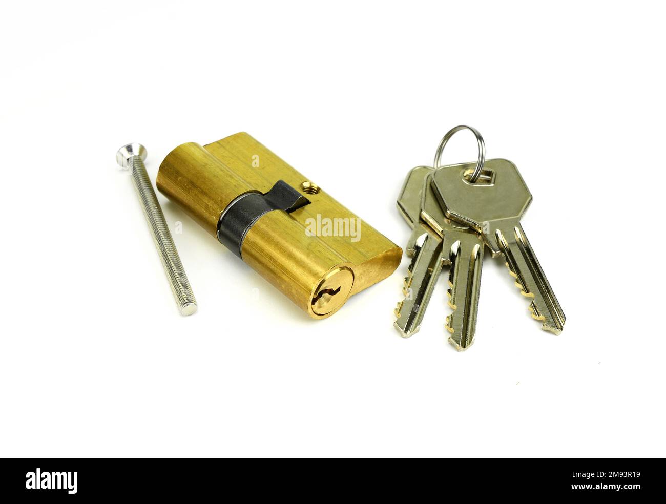 Pin tumbler of cylinder lock internal mechanism with keys on white