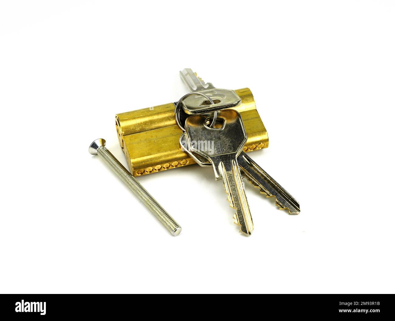 Pin tumbler of cylinder lock internal mechanism with keys on white