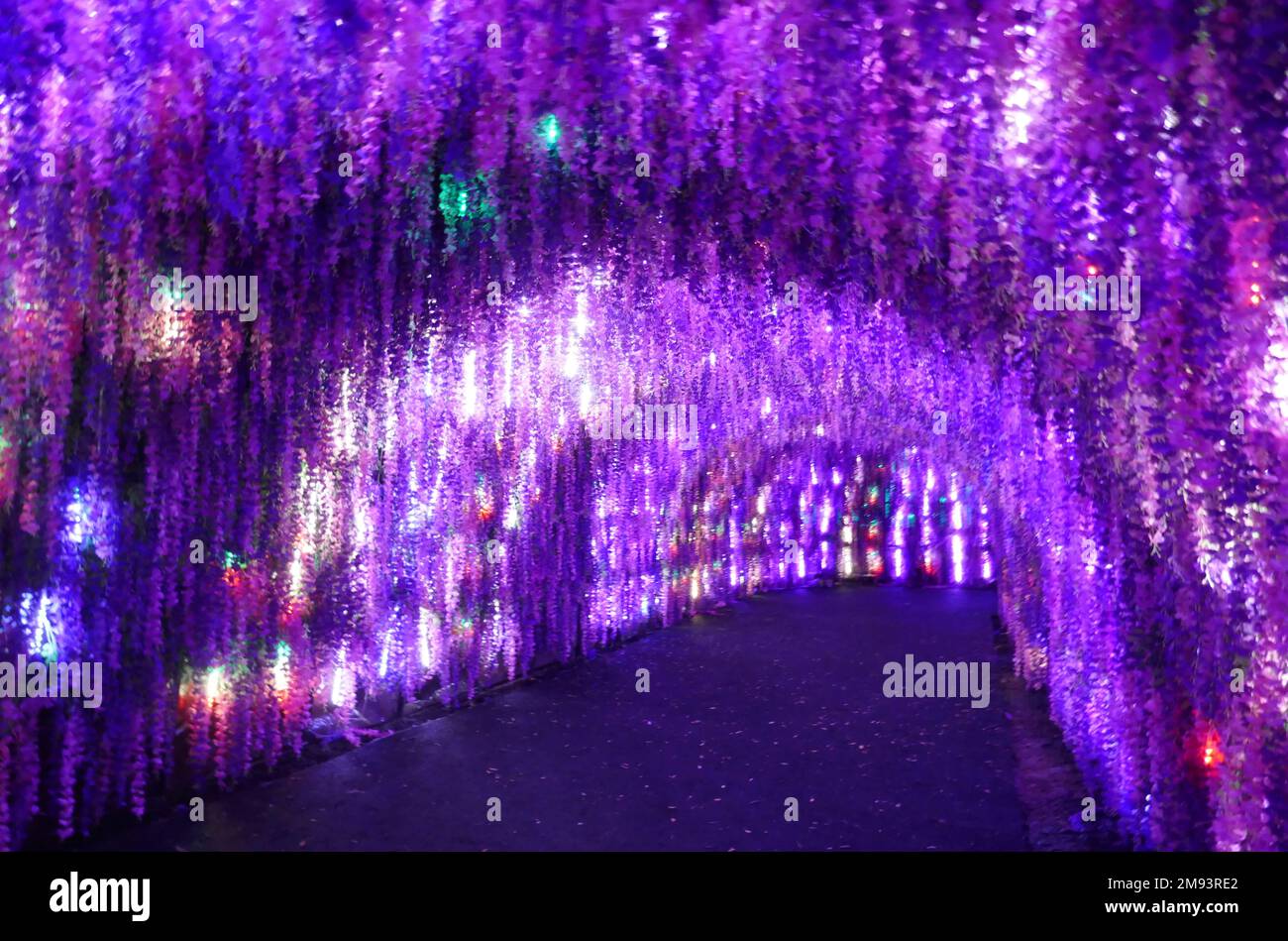 Los Angeles, California, USA 12th January 2023 Twinkle Tunnel at Zoo