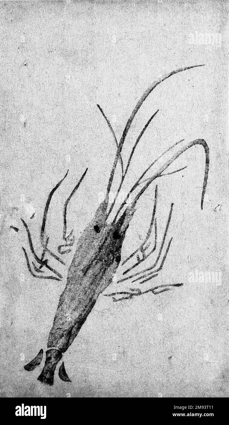 Egoyomi (Lobster) Egoyomi (Lobster), 1780-1785. Color woodblock print on paper, sheet: 5 5/16 x 3 1/16 in. (13.5 x 7.7 cm).   Asian Art 1780-1785 Stock Photo