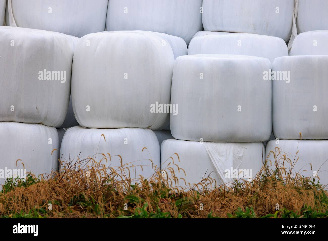 Hay Bales Wrapped in Plastic and Stacked for Outdoor Storage at Farm Stock Photo