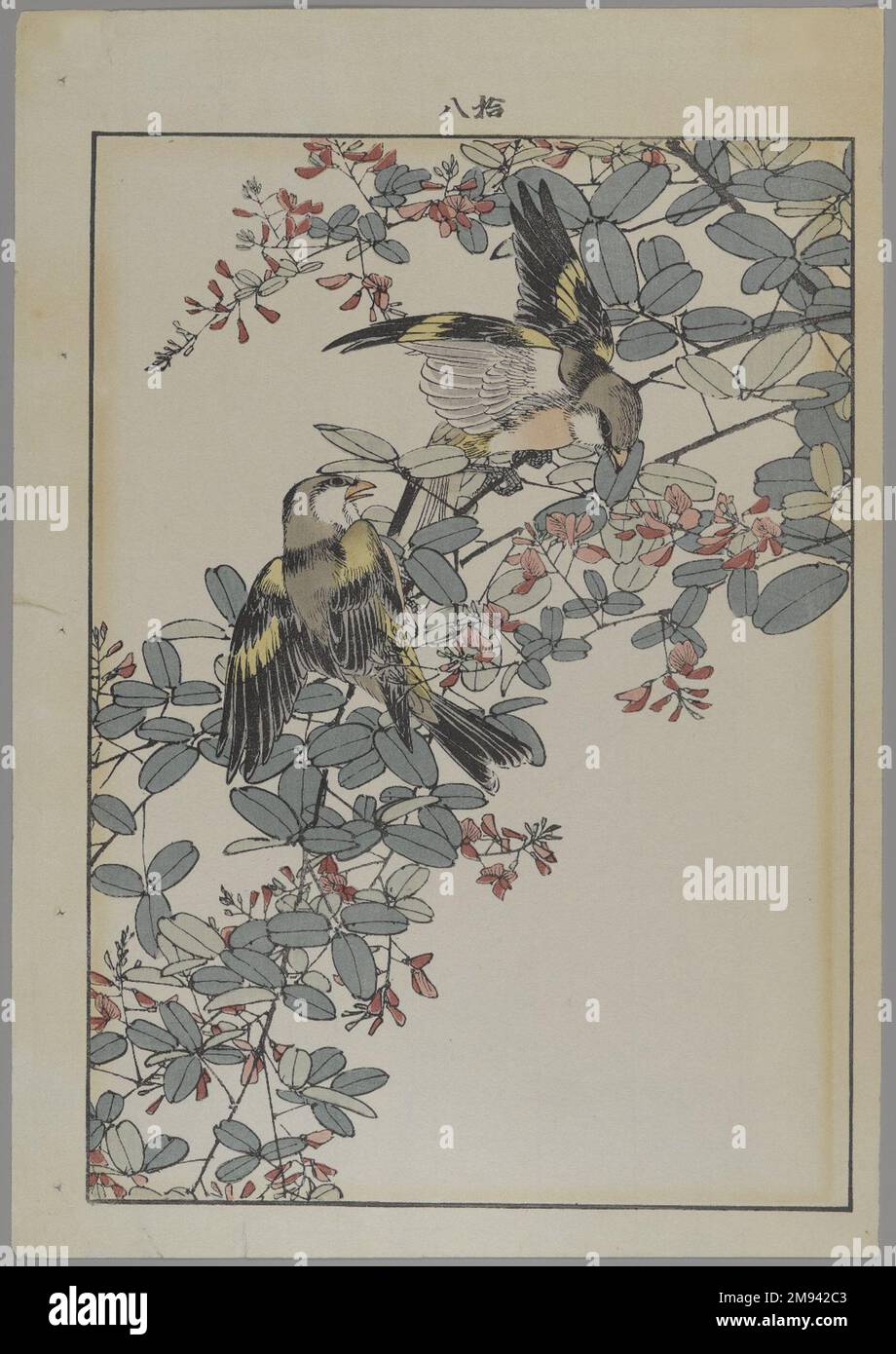 [Untitled] (Two Birds with Pink Flowers) Unknown.. Print, Other (Sight): 12 3/16 x 8 7/16 in. (31 x 21.4 cm).   Asian Art Stock Photo