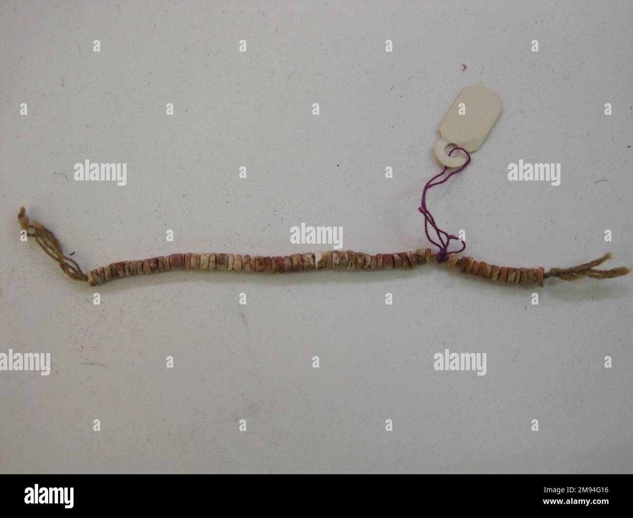 String of Beads Cotton, spondylus shell, 1/8 × 1/8 × 5 1/2 in. (0.3 × 0.3 × 14 cm).   Arts of the Americas Stock Photo