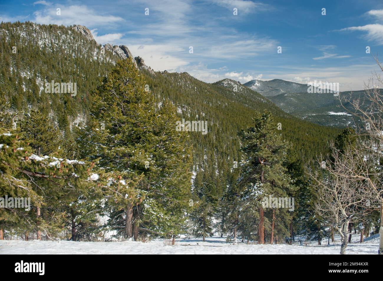 A mountainside in the Colorado Rockies.  In Golden Gate Canyon State Park, April Stock Photo