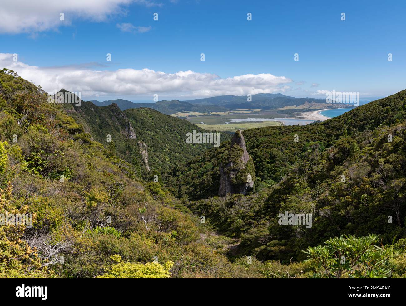 The Mt Hobson and forest landscape in Aotea Great Barrier Island, Aotearoa in New Zealand Stock