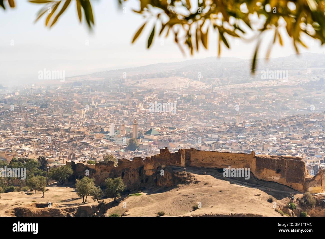 Fez skyline with city walls visible in the first plan, Morocco, North Africa Stock Photo