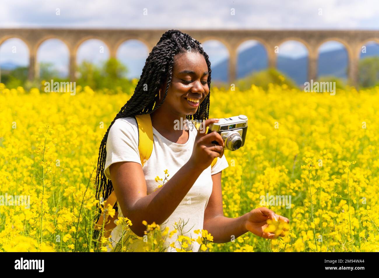 Taking photos of flowers with a vintage camera, a black ethnic girl with braids, a traveler, in a field of yellow flowers Stock Photo