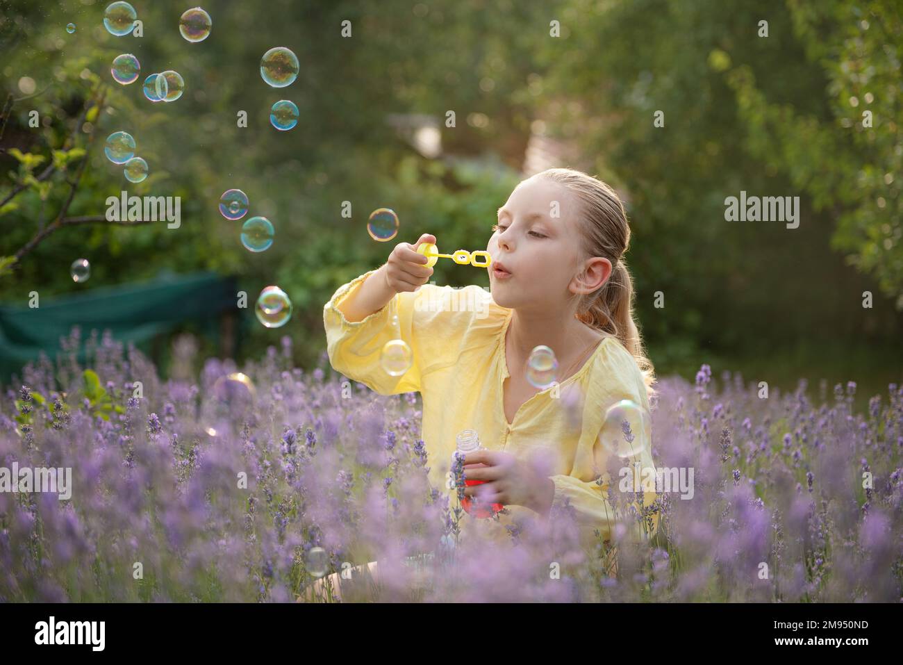 Lavender bubbles hi-res stock photography and images - Alamy
