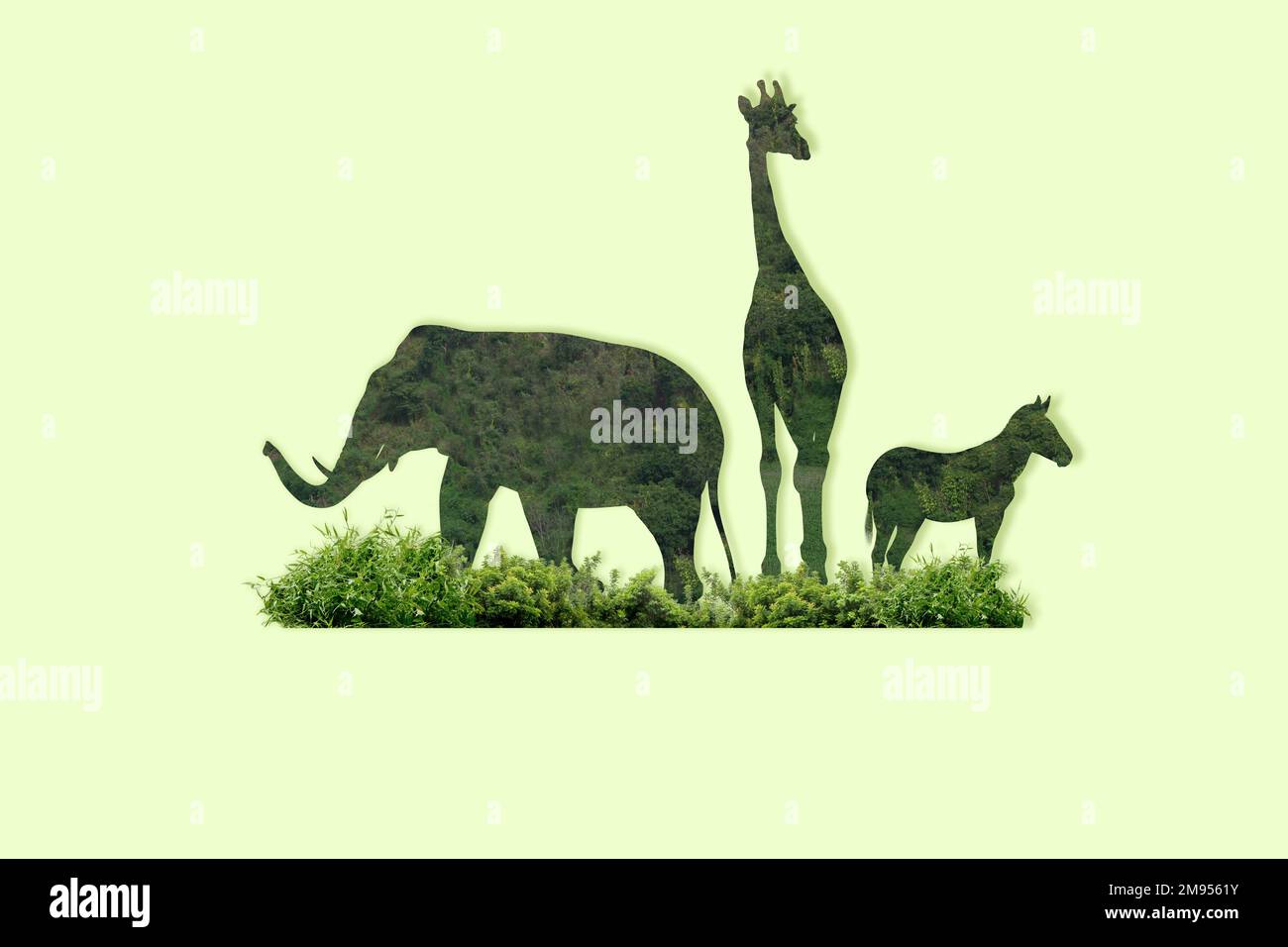 Double exposure wildlife hi-res stock photography and images - Alamy