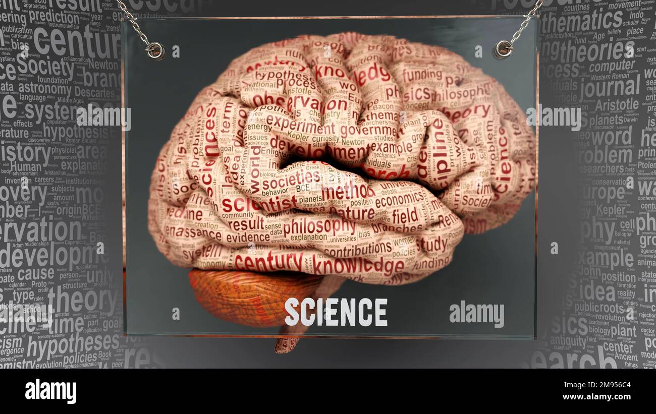 Science in human brain dozens of important terms describing Science