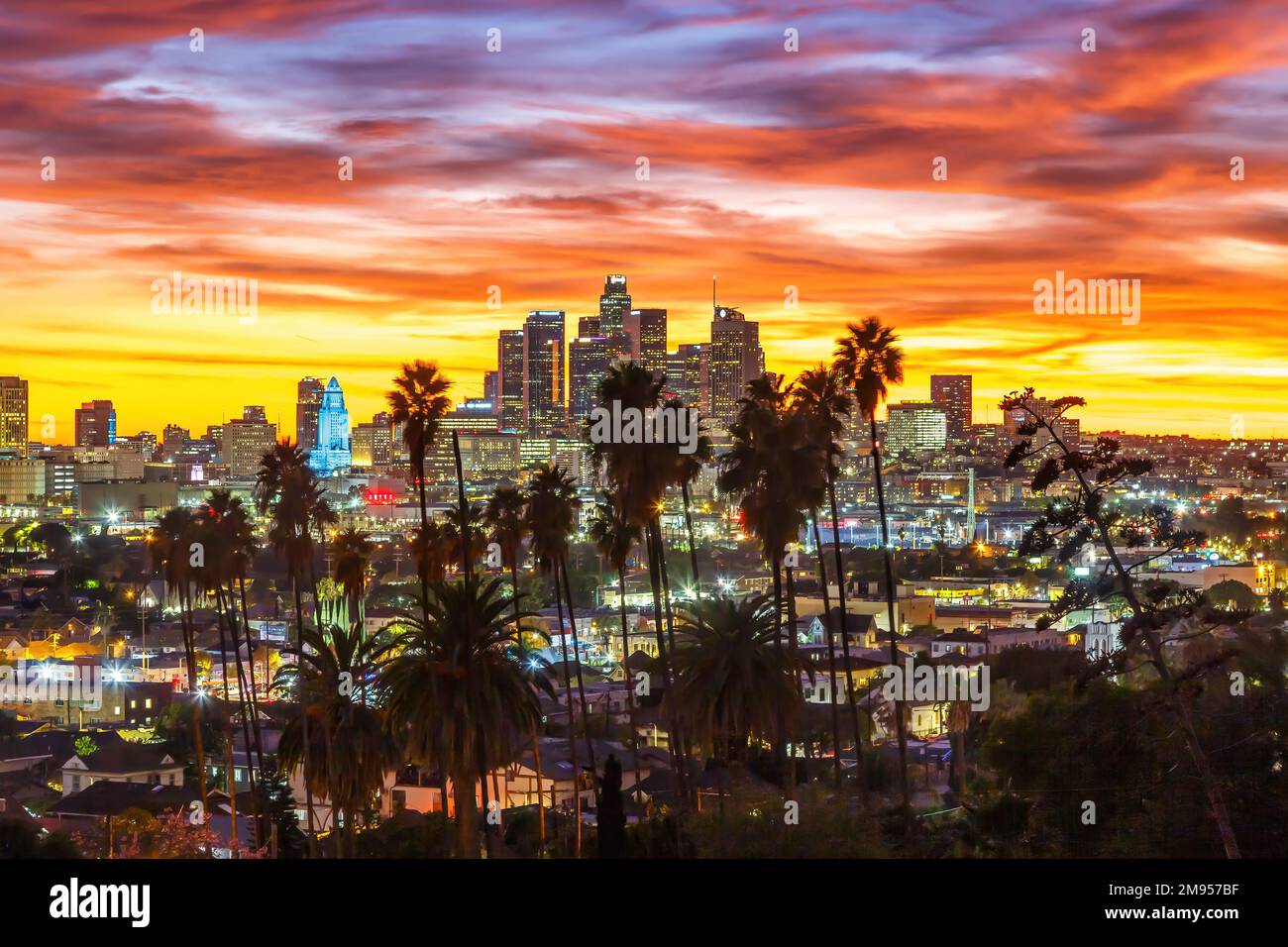 View of downtown Los Angeles skyline with palm trees at sunset travel