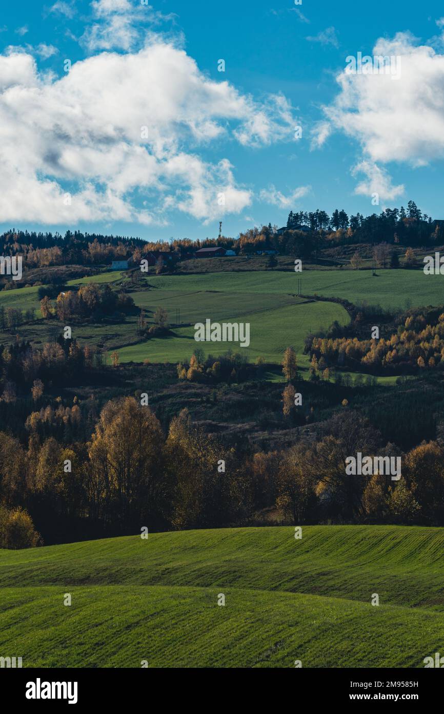 Dense nature greenery field hi-res stock photography and images - Alamy