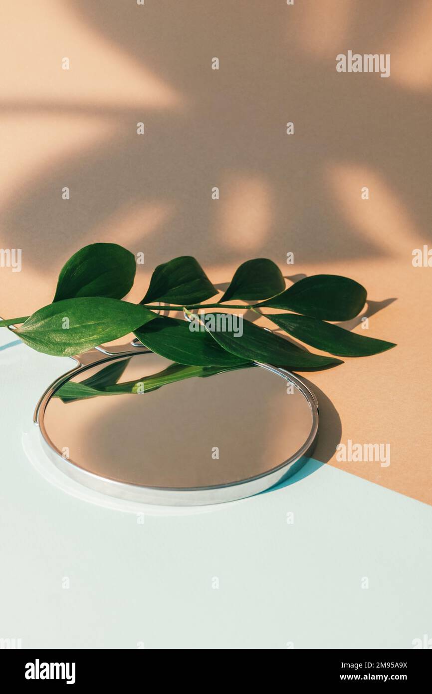 beauty display product showcase makeup mirror leaf Stock Photo