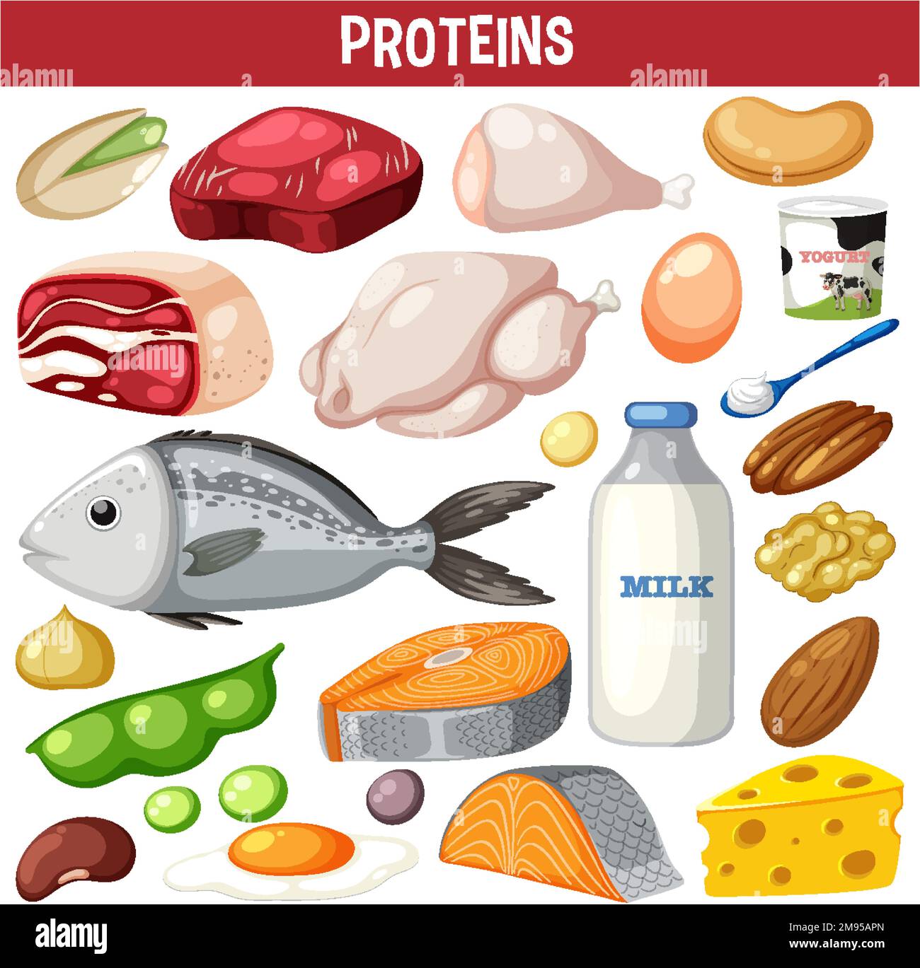 Variety of protein meats with text illustration Stock Vector Image