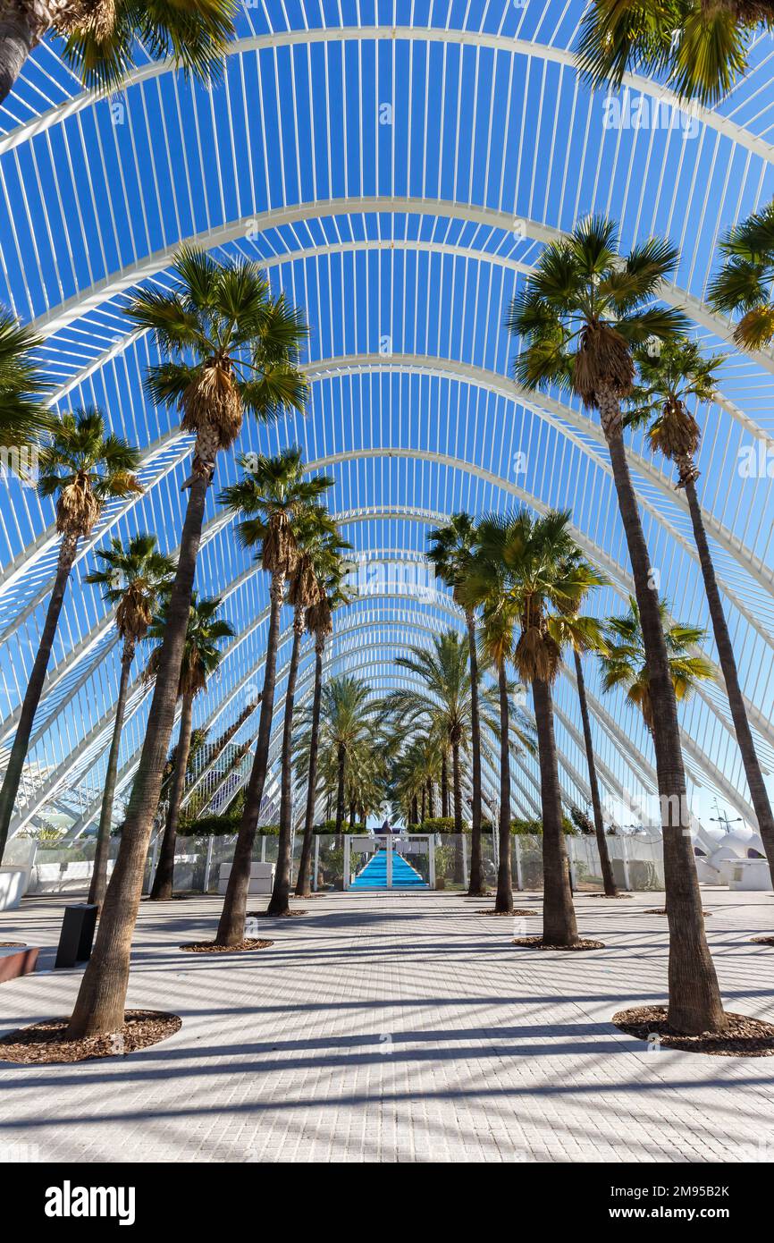 Valencia, Spain - February 17, 2022: Ciutat de les Arts i les Ciencies with L’Umbracle building modern architecture by Santiago Calatrava portrait for Stock Photo