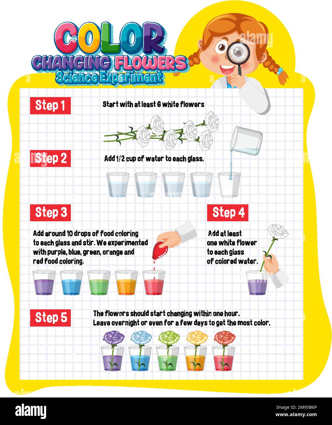 Color Changing Flowers Science Experiment illustration Stock Vector