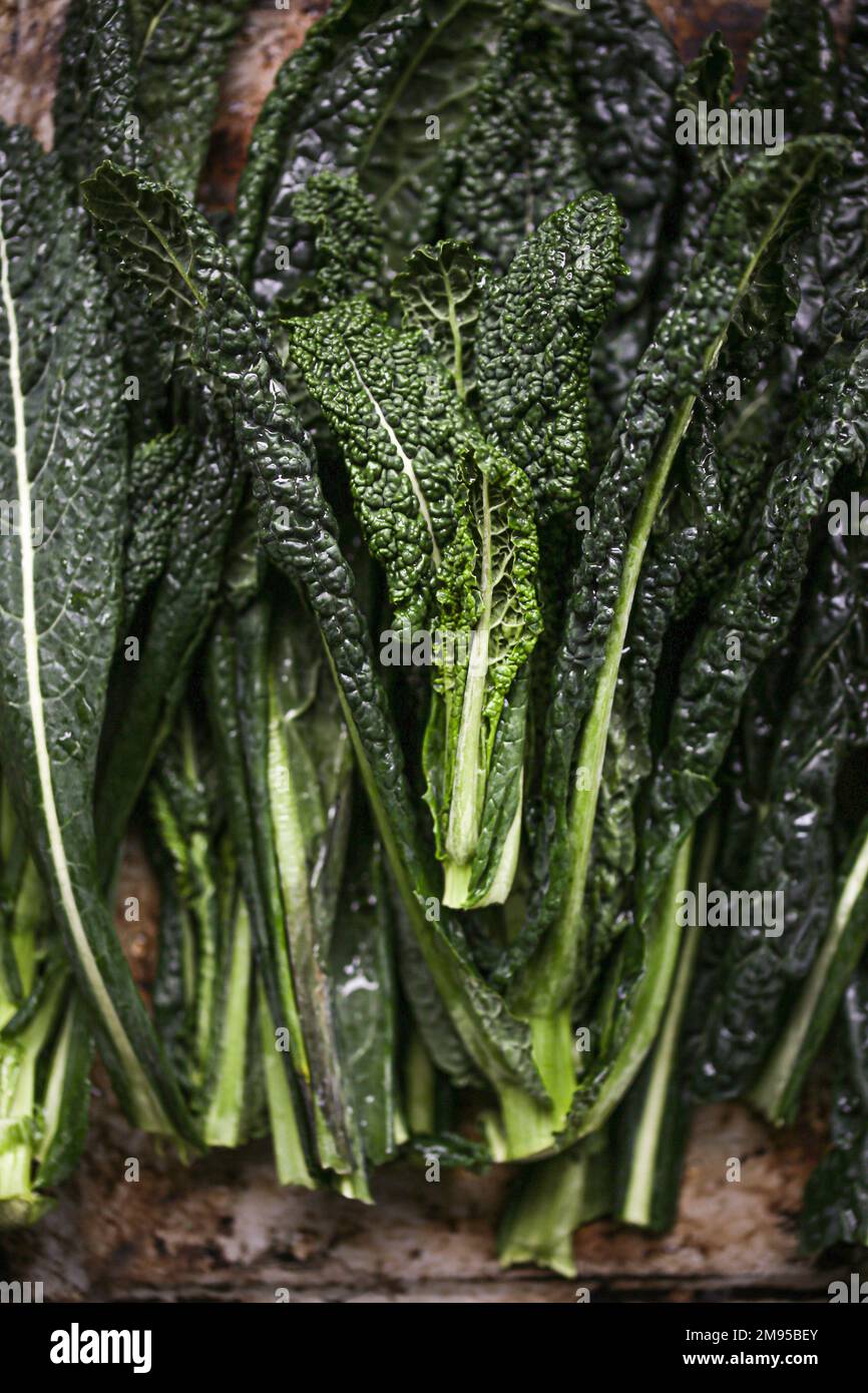 Leaves of italian lancinato kale Stock Photo