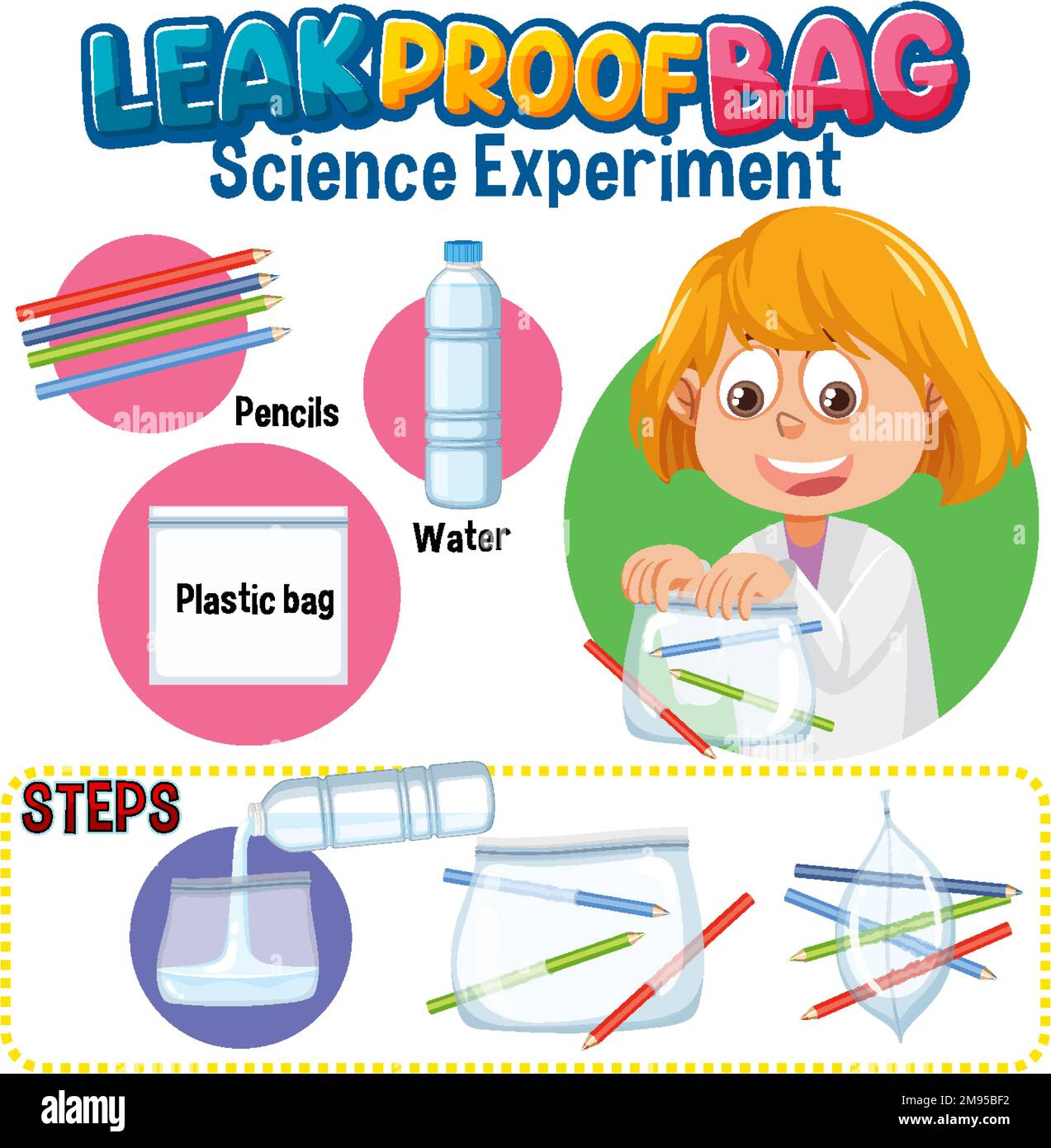 Leak Proof Bag Science Experiment illustration Stock Vector Image & Art