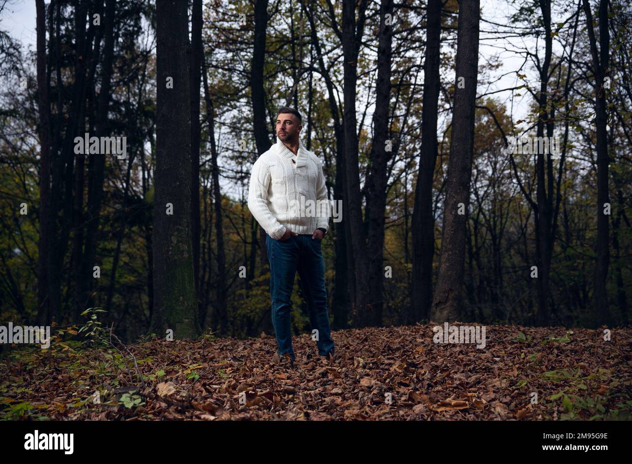 A handsome man standing in a forest Stock Photo - Alamy