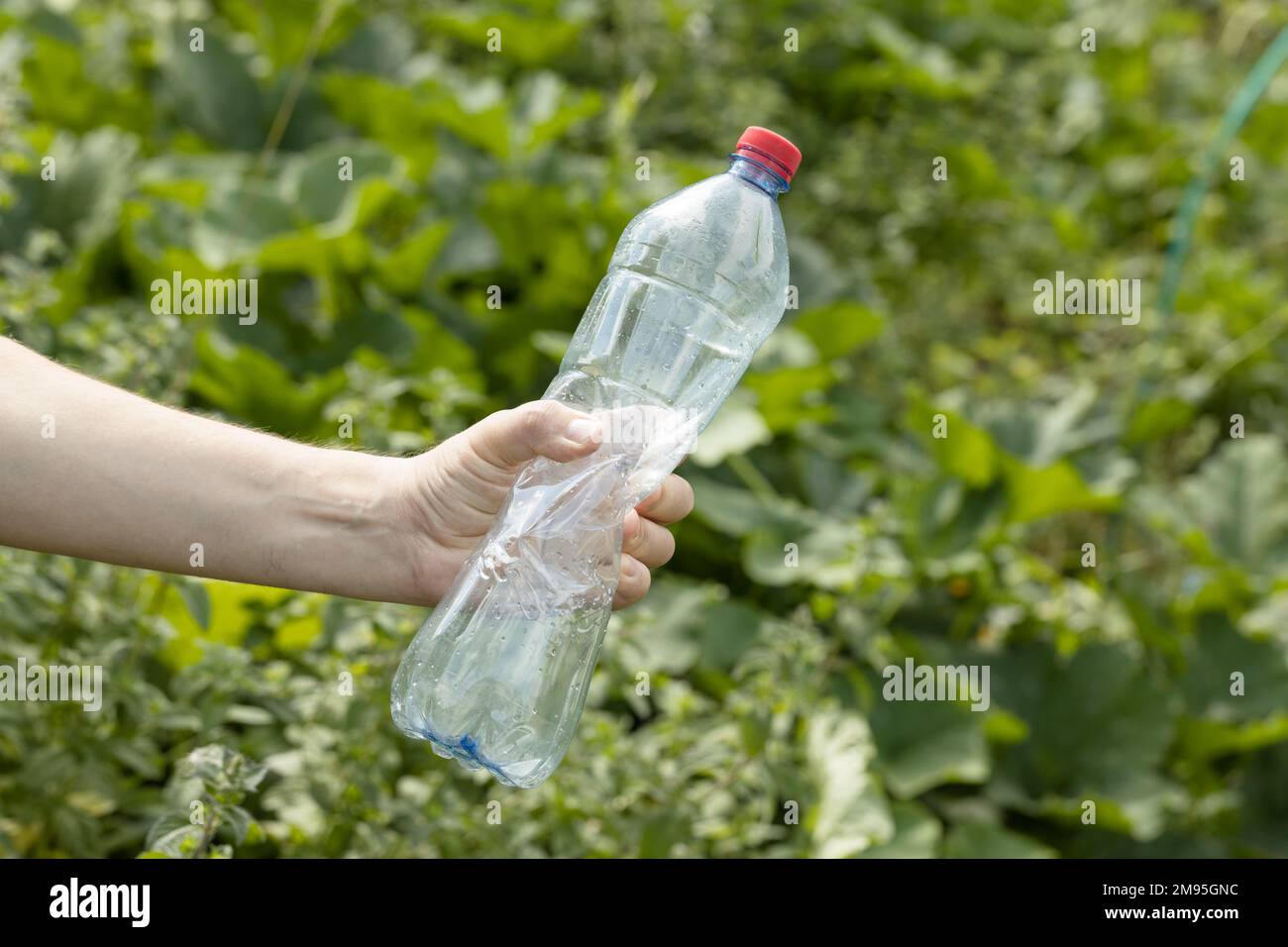 https://c8.alamy.com/comp/2M95GNC/hand-holding-crumpled-empty-plastic-bottle-in-the-park-2M95GNC.jpg