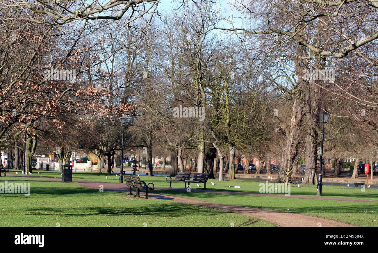Park benches empty amongst the trees Stock Photo - Alamy