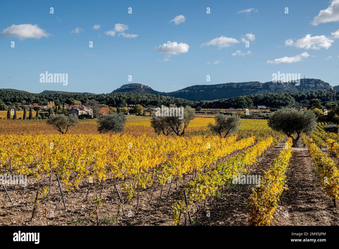Wines from provence hires stock photography and images Alamy