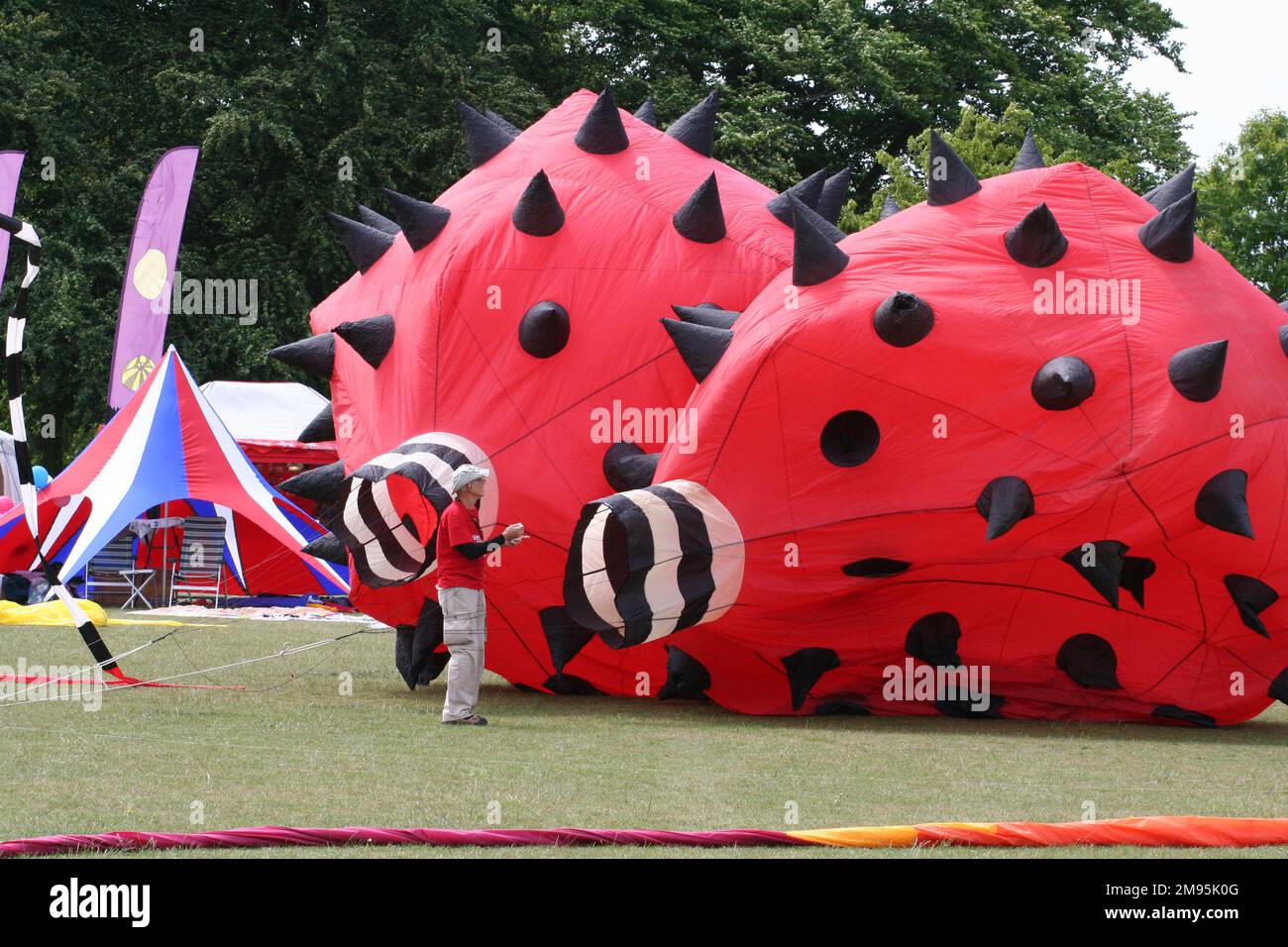 Unusual kites being inflated. Stock Photo