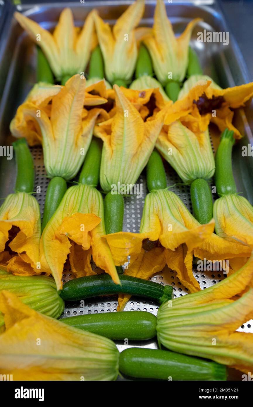 Stuffed courgette flowers Stock Photo Alamy