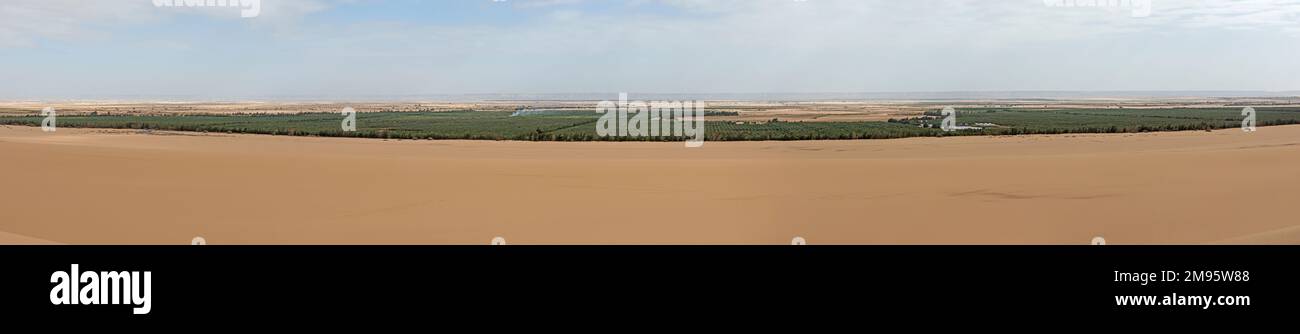 Panoramic view over remote african egyptian desert landscape with oasis ...