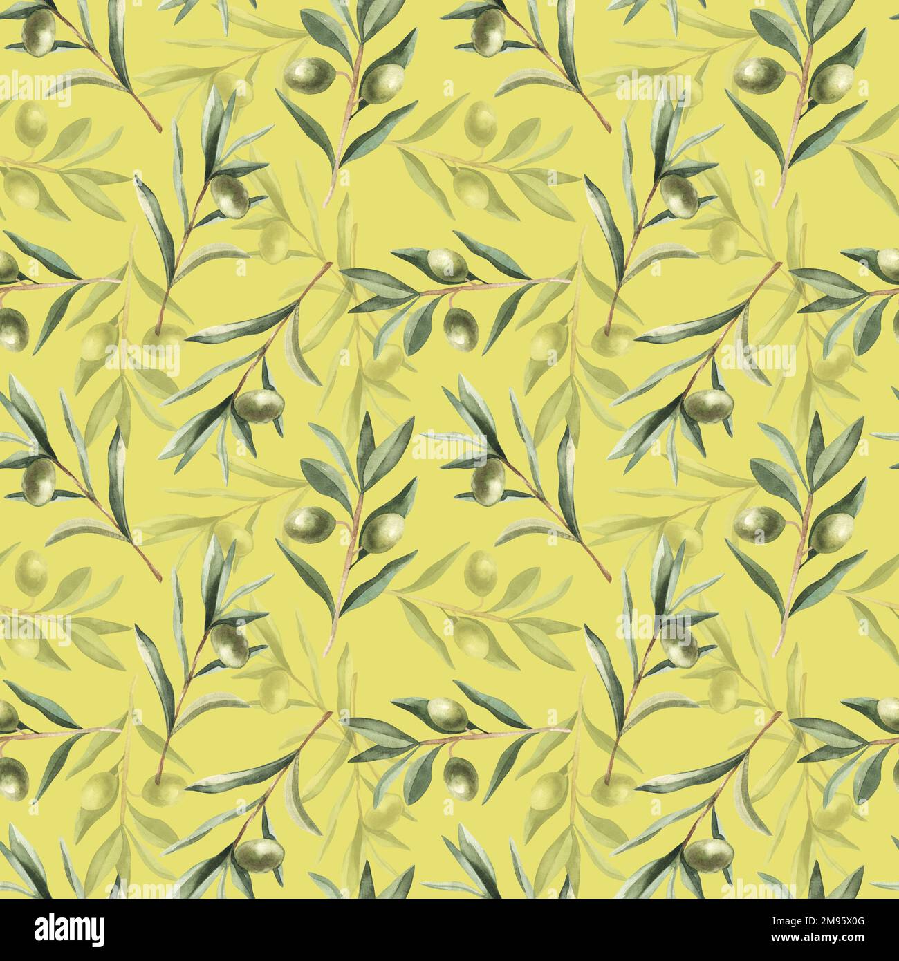 Pattern on a white background with olive tree elements Stock Photo - Alamy