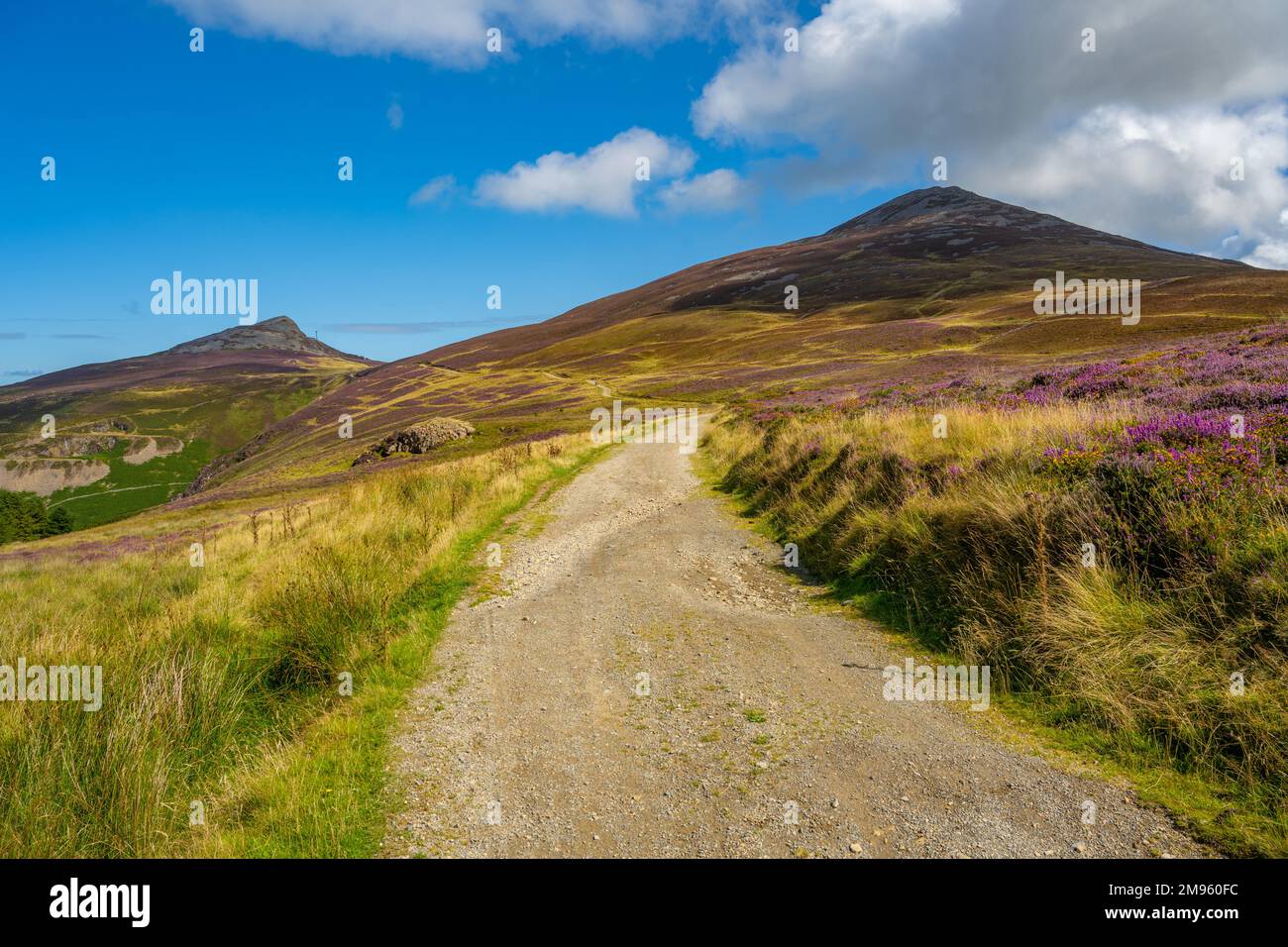 The path towards Yr Eifl, above Nant Gwrtheyrn, on the Llyn Peninsula in Gwynedd North Wales Stock Photo