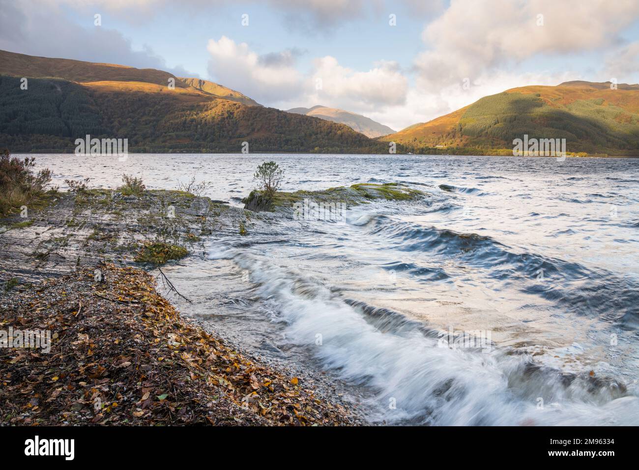 Loch Lomond near Rowardennan, Loch Lomond and Trossachs National Park, Scotland Stock Photo