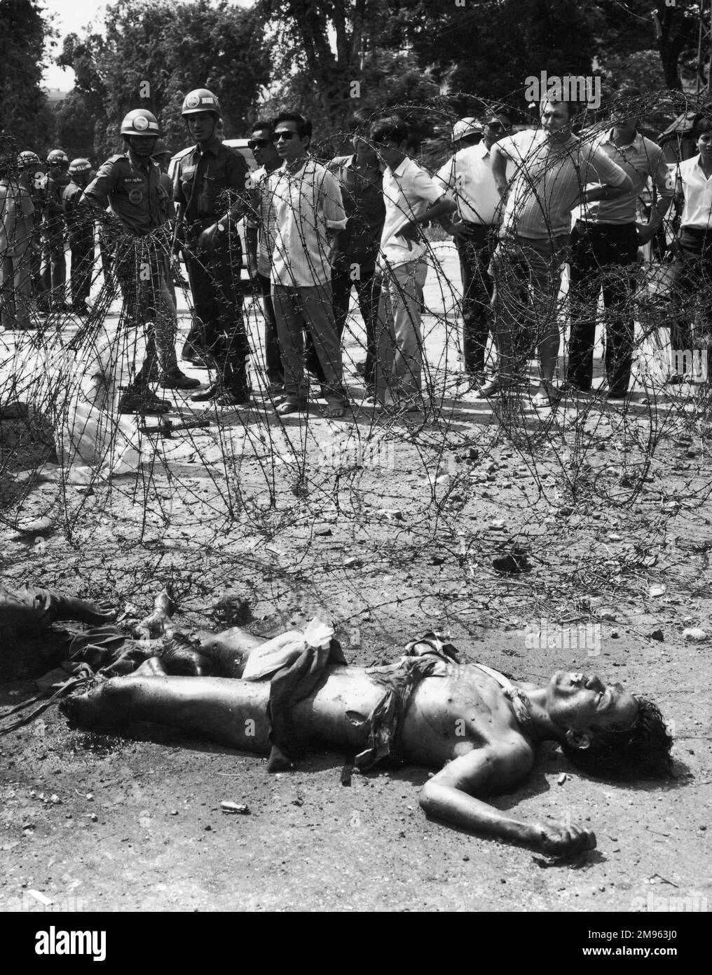 A mass of barbed wire is all that separates the mangled victim, whose leg has been torn off in a Viet Cong attack, & a crowd of onlookers Stock Photo