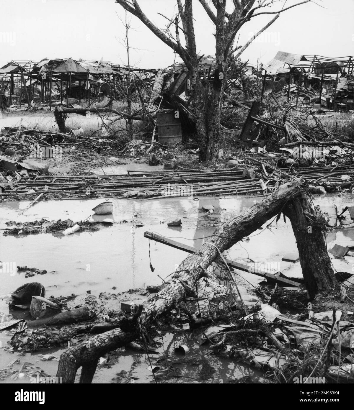 South Vietnam, Quang Tri: The destruction of war is only too evident; discarded helmets sinking in the muddy water, fallen trees and burnt out stalls and shelters Stock Photo