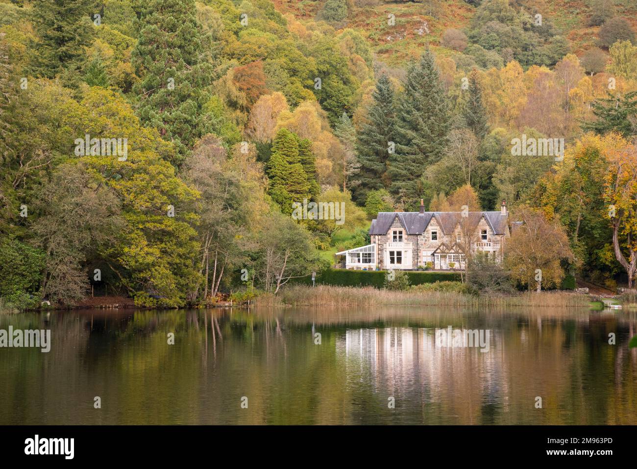 Loch Ard in autumn near Milton, Loch Lomond and Trossachs National Park, Scotland Stock Photo