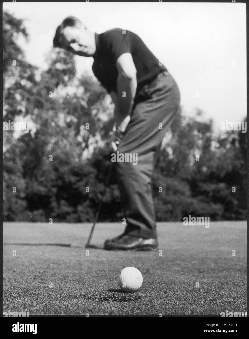 A golfer prepares to putt Stock Photo