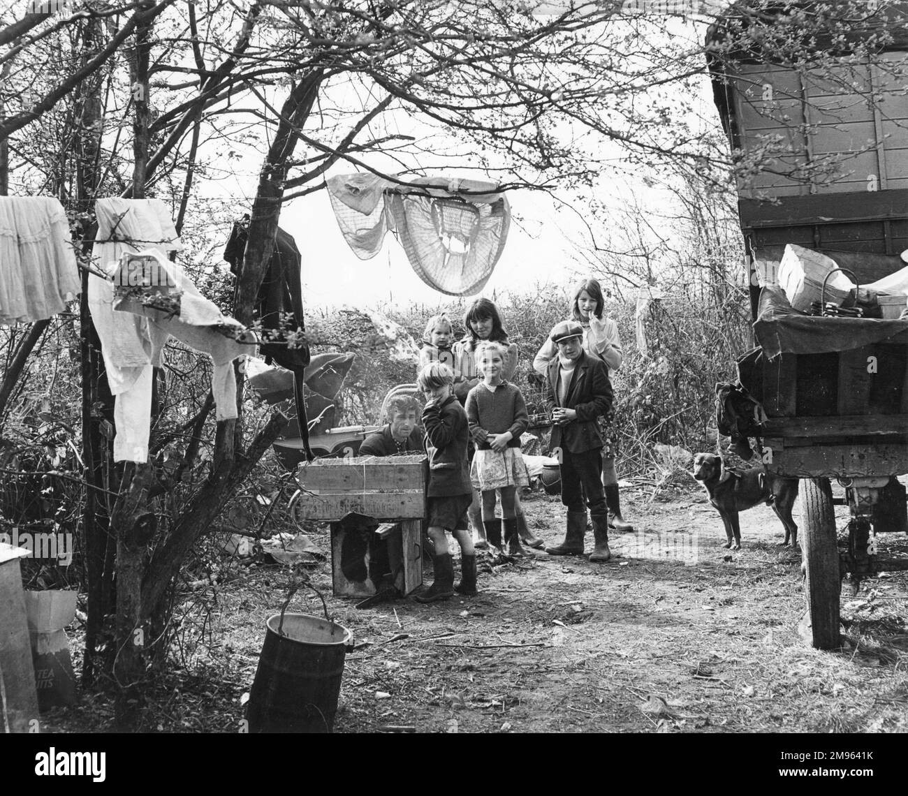 Serbian Gypsies [1904]