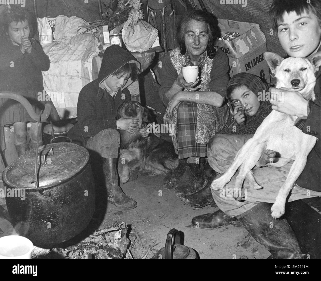 The interior of a gipsy 'bender', which is a wooden structure, like a wig wam, made out of sack etc. A gipsy woman, surrounded by kids and a dog, has a cuppa. Stock Photo