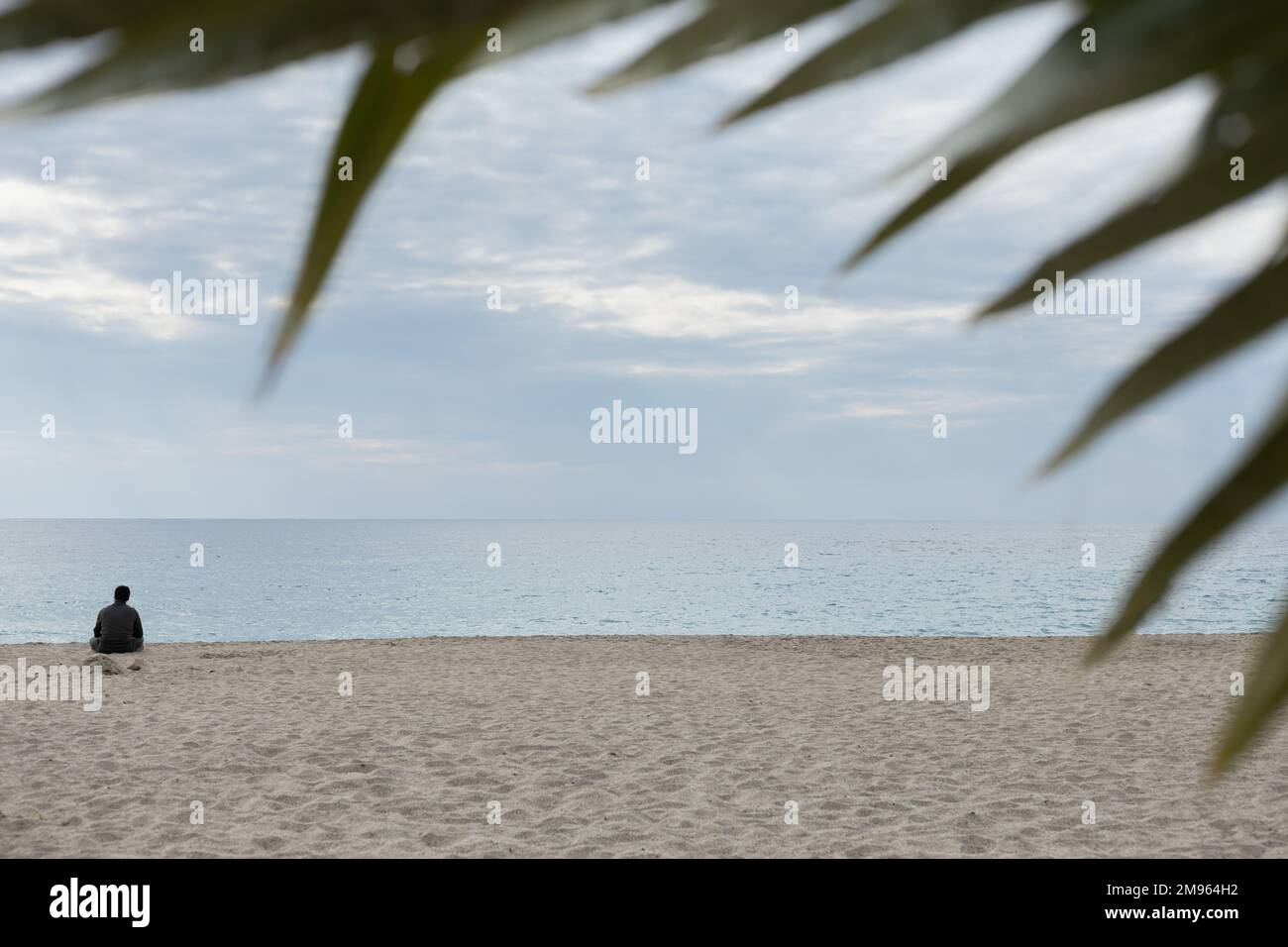 Rear view portrait of a man relaxing sitting on the beach Stock Photo ...