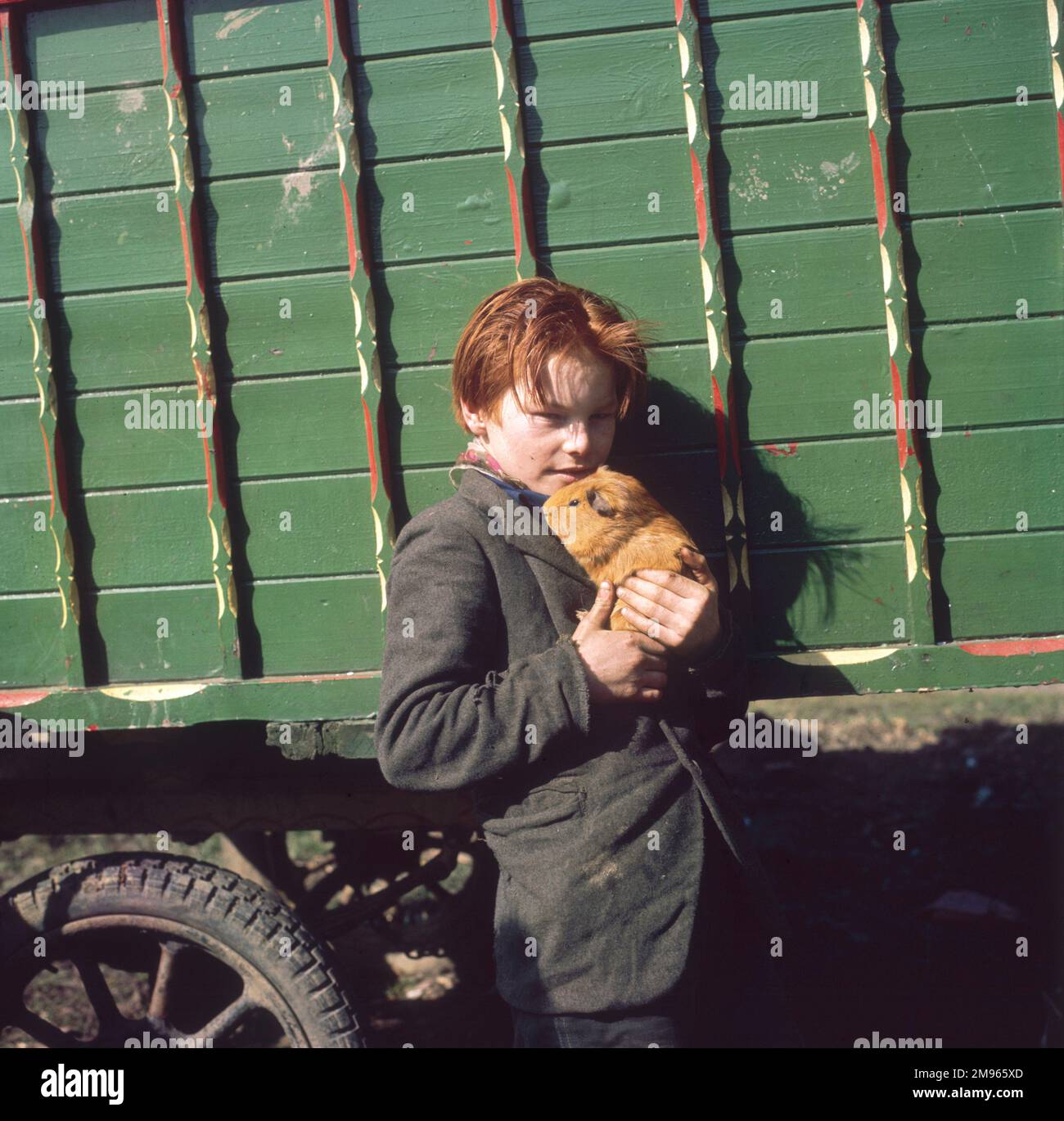 Gypsy boys hires stock photography and images Alamy