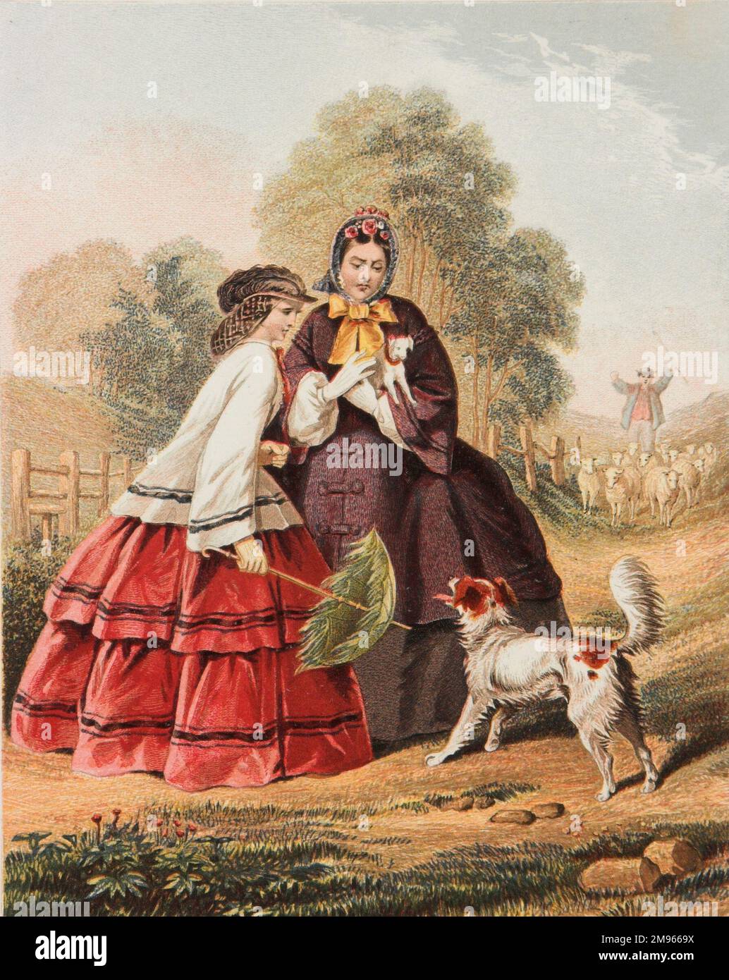 Two ladies out walking in crinolines are barked at by a rather unpleasant sheepdog so one of them decides to attack it with her parasol. Stock Photo