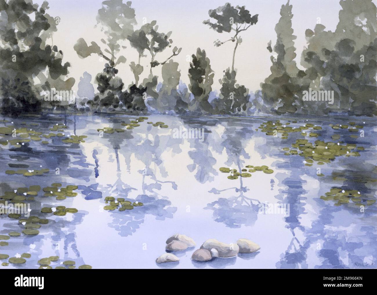 Tranquil Lake - Silent Trees. A clear still blue pond dotted with water lilies. Painting by Malcolm Greensmith Stock Photo