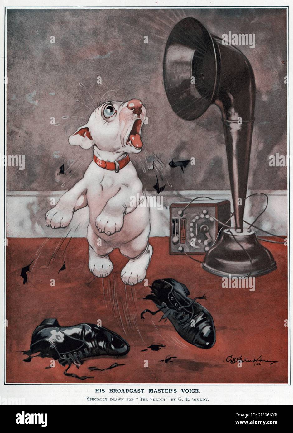 A spoof on the famous His Master's Voice logo featuring a dog listening to a gramophone; Bonzo, the comic canine creation of George Studdy, is frightened out of his wits when he ears the voice of his owner while he is in the middle of chewing and destroying his pair of shoes. Credit line must read: ©Estate of George Studdy/Gresham Marketing Ltd./Mary Evans Stock Photo