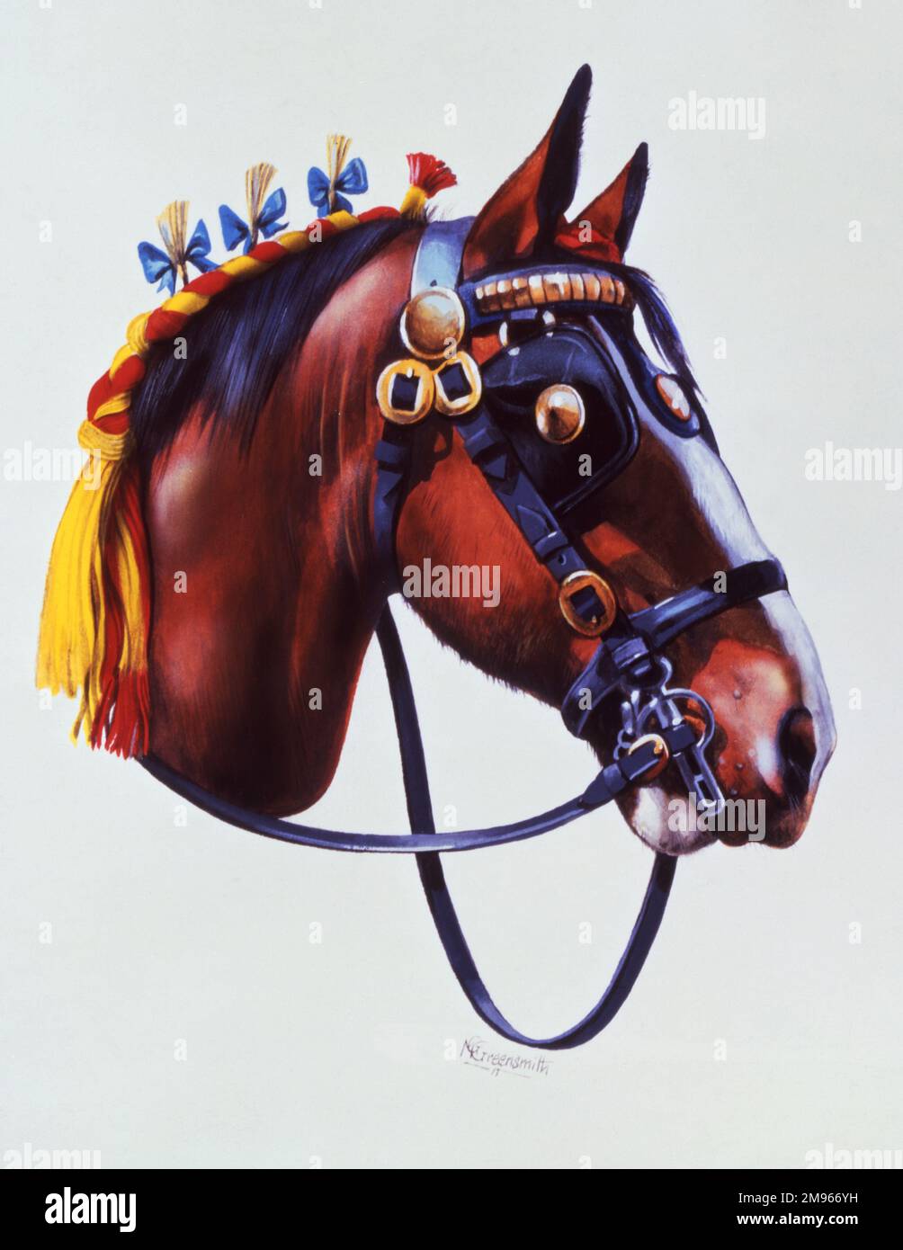 A detailed portrait painting by Malcolm Greensmith showing the head of a elaborately decorated working horse at a show, with hair braiding and ribbons, buffed and polished tack and shining horse brasses. Stock Photo