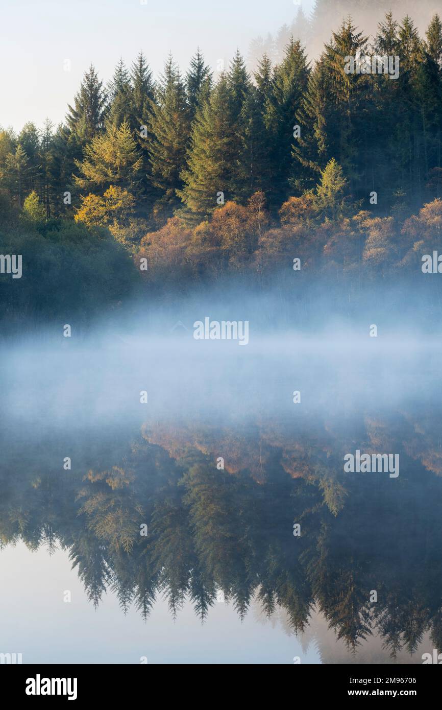 Misty dawn over Loch Chon, Loch Lomond and Trossachs National Park, Scotland Stock Photo