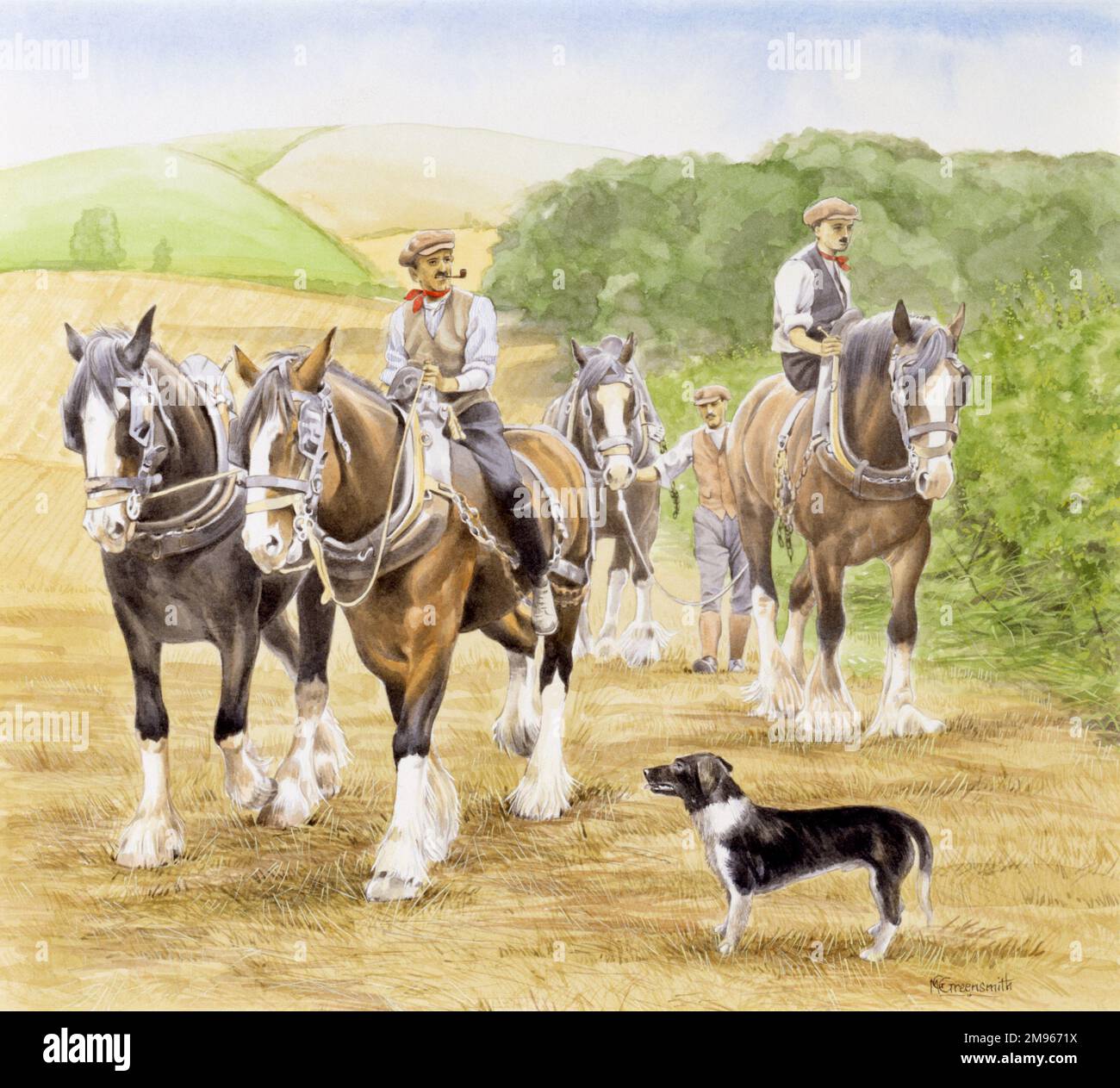 Farmers walk and lead a team of working horses across a harvested cornfield. Painting by Malcolm Greensmith Stock Photo