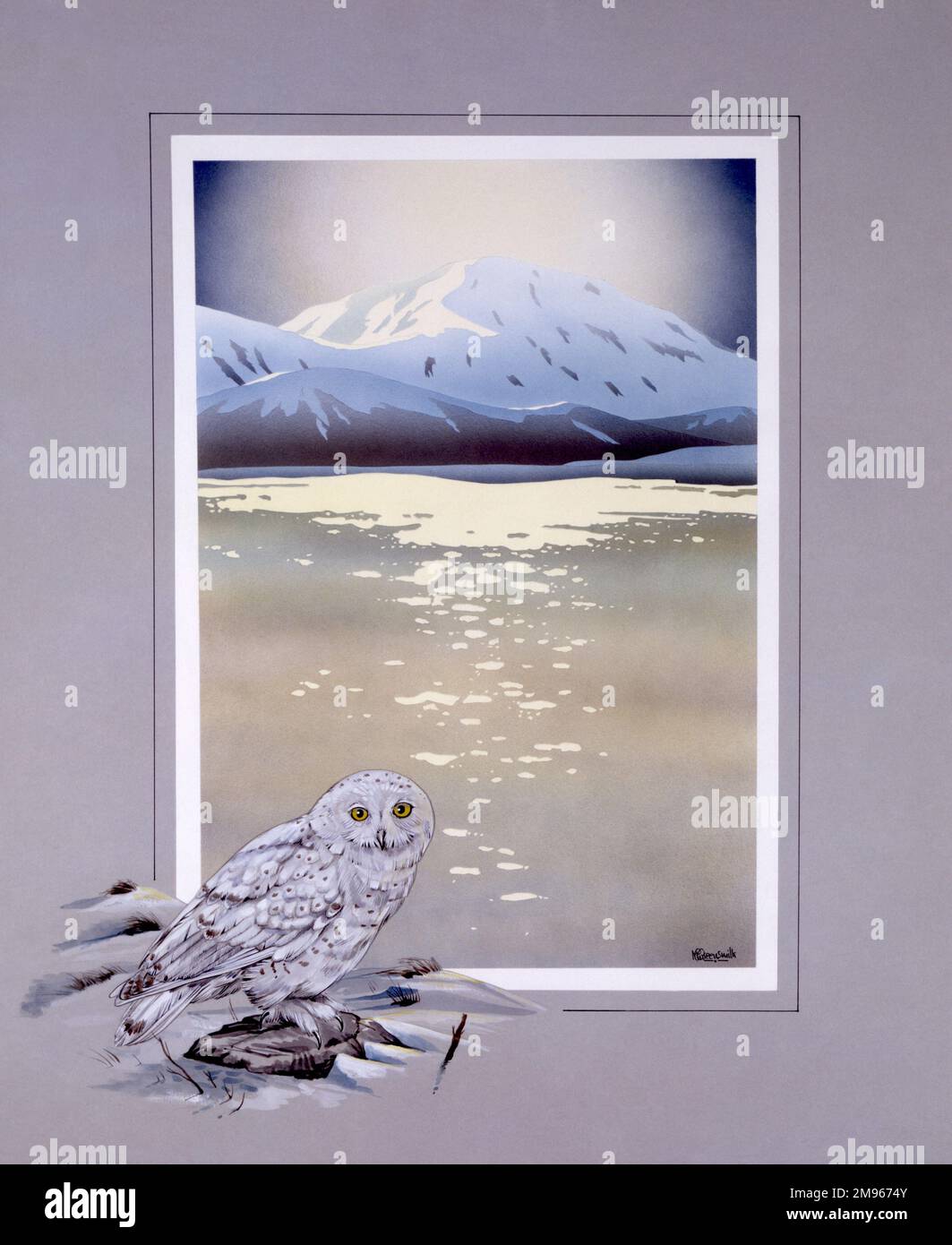 A view toward a snowcapped peak across a cold wintery lake. A snowy