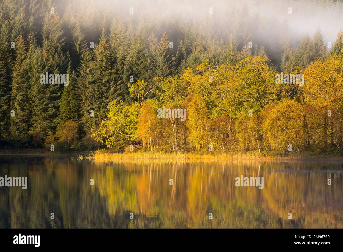 Misty dawn over Loch Chon, Loch Lomond and Trossachs National Park, Scotland Stock Photo