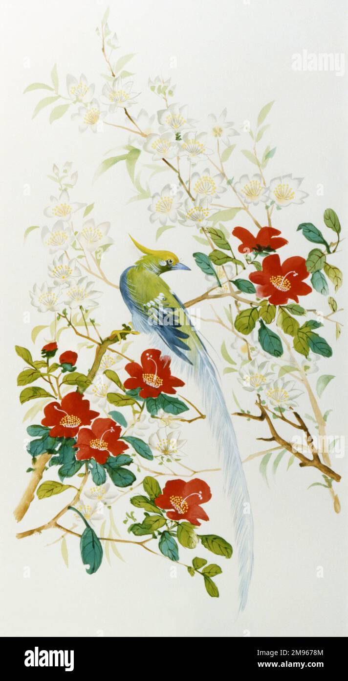 A Bird of Paradise (with an impressive pale blue tailfeather) perched amongst exotic blooms. Watercolour painting by Malcolm Greensmith Stock Photo