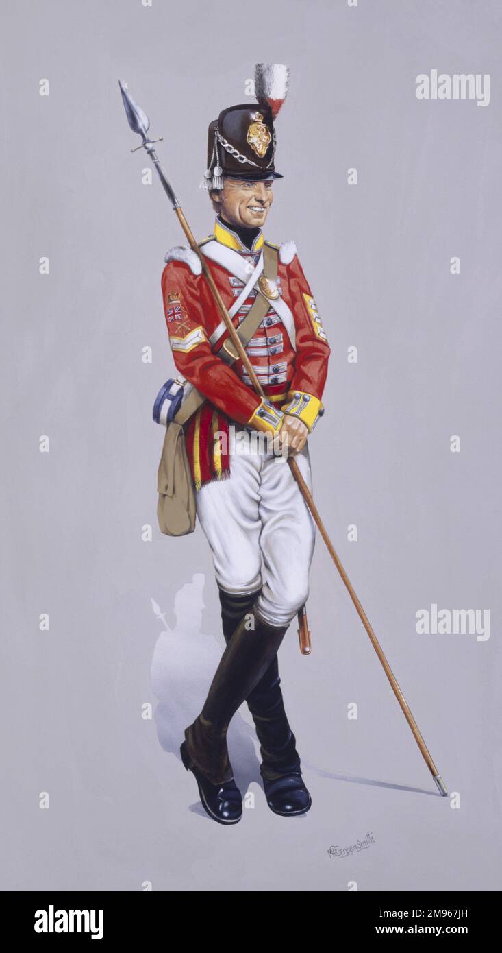 Colour Sergeant - 37th Regiment of Foot - North Hampshire Regiment amalgamated with the 67th South Hampshire in 1881 to form The Royal Hampshire Regiment. Painting by Malcolm Greensmith Stock Photo